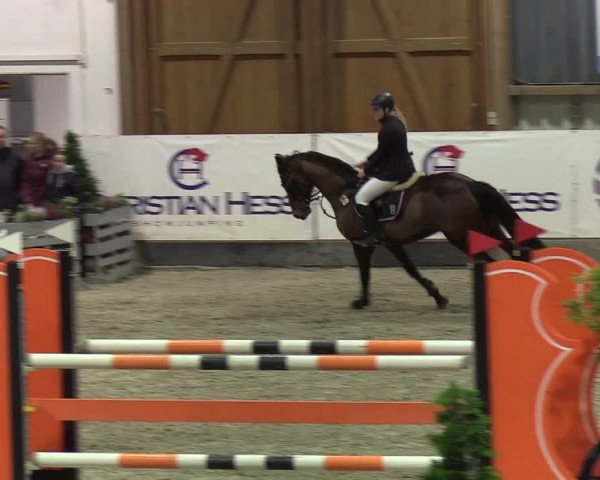 Nordic Jumping events 2020: Turnierergebnisse + Videos
