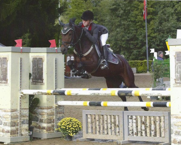 Zuchtstute Farika T (Deutsches Reitpony, 2010, von For Next Generation)
