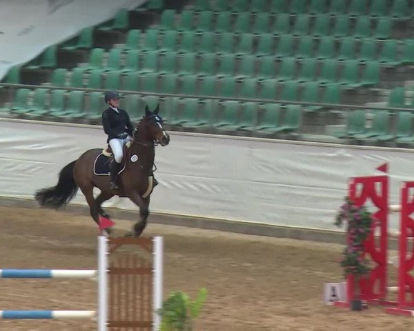 Reitturnier Kreuth/Opf. 2020