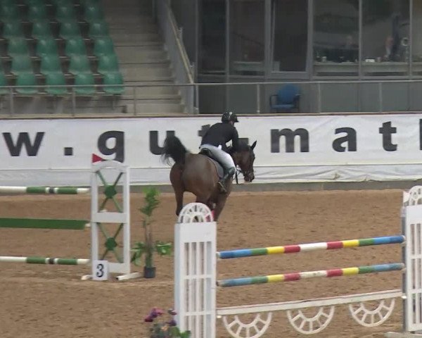 Reitturnier Kreuth/Opf. 2020
