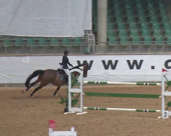 Reitturnier Kreuth/Opf. 2020
