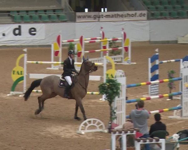Reitturnier Kreuth/Opf. 2020