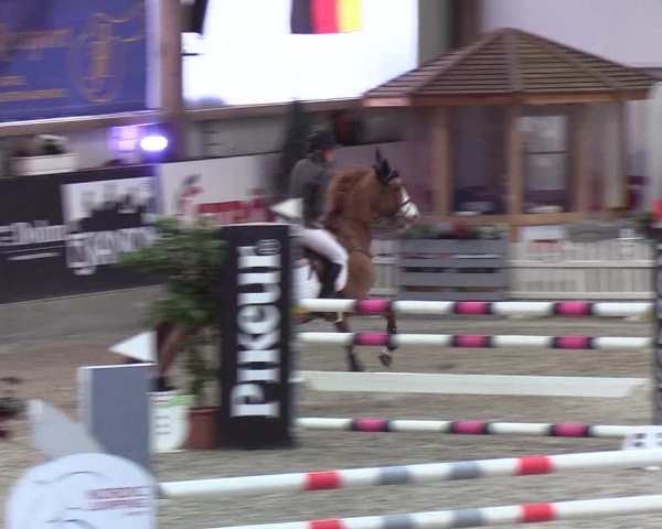 Nordic Jumping events 2020: Turnierergebnisse + Videos