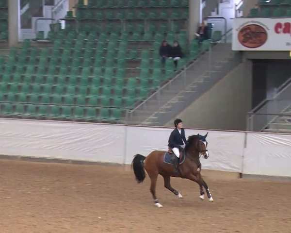 Reitturnier Kreuth/Opf. 2020
