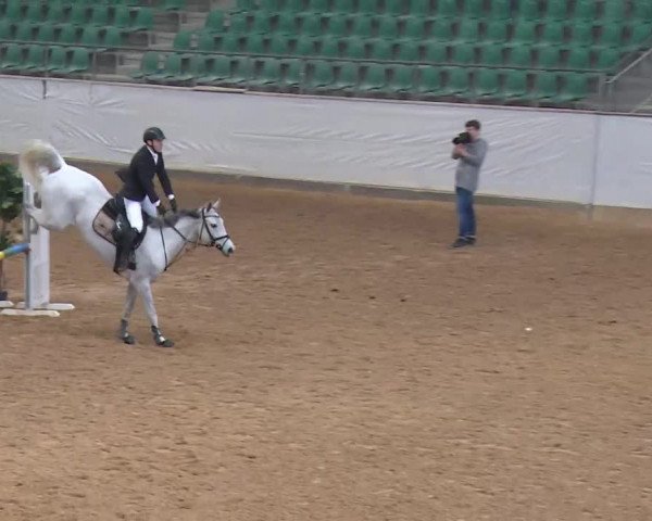 Reitturnier Kreuth/Opf. 2020