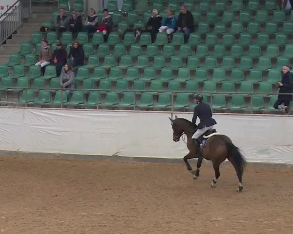 Reitturnier Kreuth/Opf. 2020