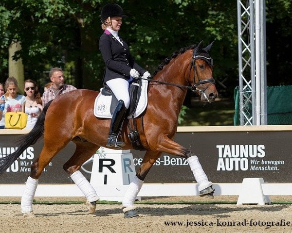 Dressurpferd Charly Brown 344 (Deutsches Reitpony, 2008, von FS Champion de Luxe)