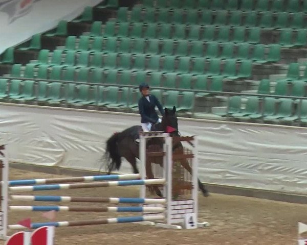 Reitturnier Kreuth/Opf. 2020