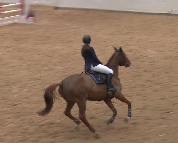 Reitturnier Kreuth/Opf. 2020