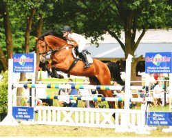 broodmare Cappolana (Westphalian, 2009, from Capilano)