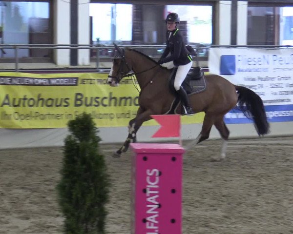 Reitturnier Vlotho-Exter 2020
