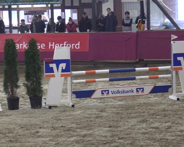 Reitturnier Vlotho-Exter 2020