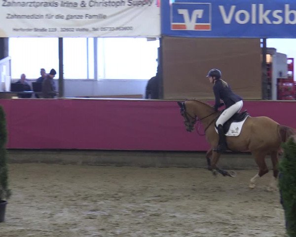 Reitturnier Vlotho-Exter 2020