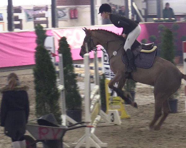 Reitturnier Vlotho-Exter 2020
