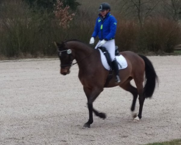 jumper Lord Lannister (Bavarian, 2011, from Le Balou 3)