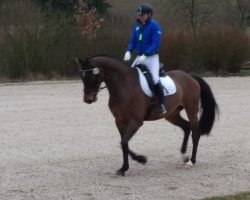 jumper Lord Lannister (Bavarian, 2011, from Le Balou 3)