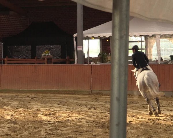 Rosendorf Classics 2020 Seppenrade