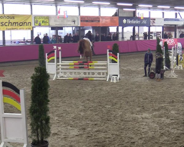 Reitturnier Vlotho-Exter 2020