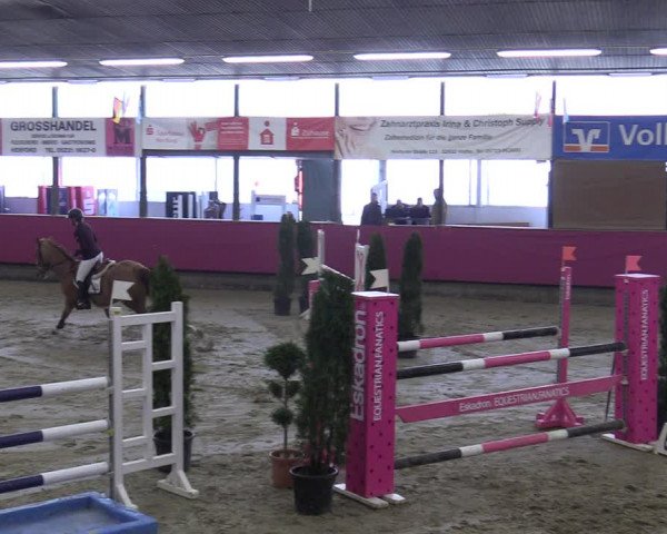 Reitturnier Vlotho-Exter 2020
