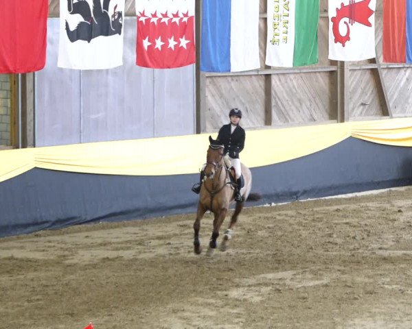 Reitturnier Erlen 2020