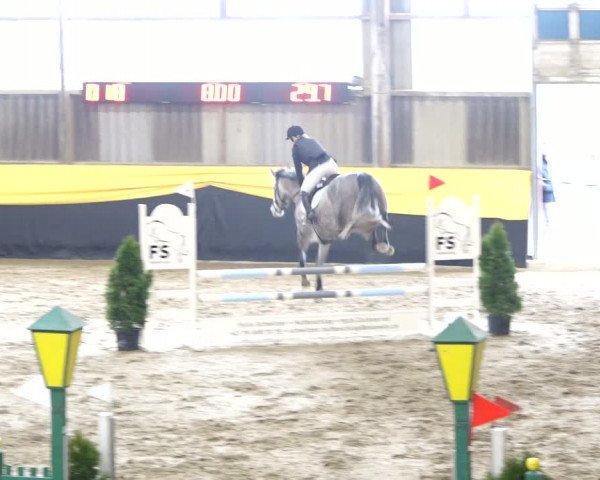 Reitturnier Erlen 2020