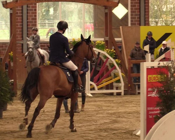 Rosendorf Classics 2020 Seppenrade