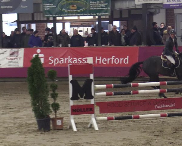 Reitturnier Vlotho-Exter 2020