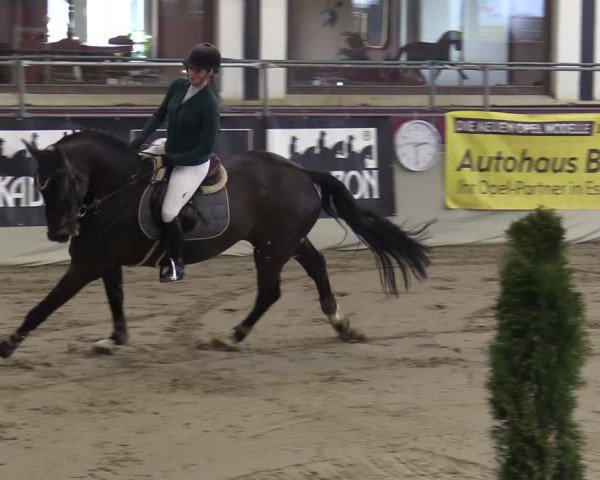 Reitturnier Vlotho-Exter 2020