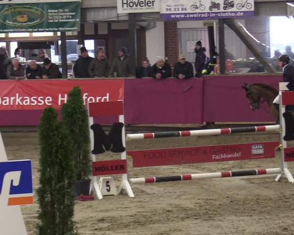 Reitturnier Vlotho-Exter 2020