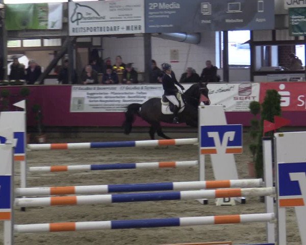 Reitturnier Vlotho-Exter 2020