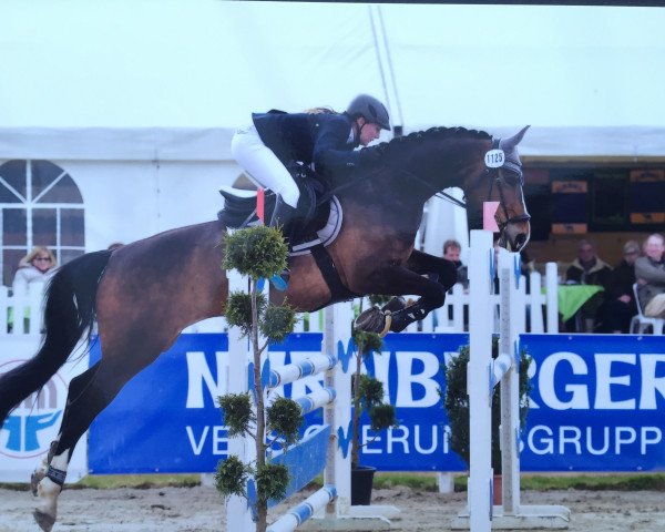 Springpferd Coco Mademoiselle W (Westfale, 2010, von Coronas 2)