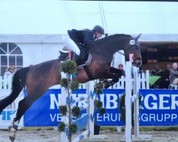 jumper Coco Mademoiselle W (Westphalian, 2010, from Coronas 2)