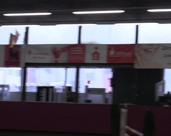 Reitturnier Vlotho-Exter 2020