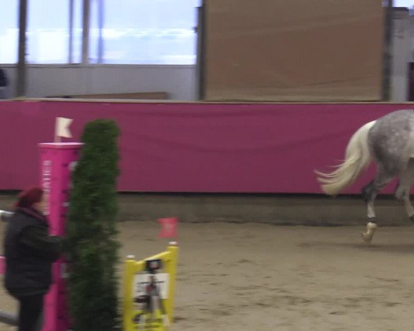 Reitturnier Vlotho-Exter 2020