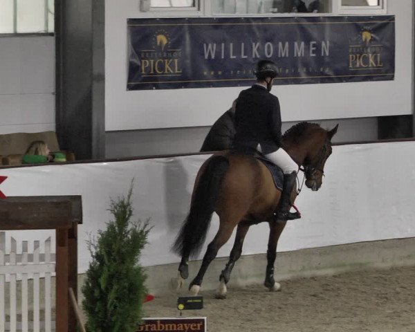 Reitturnier Karlsfeld/Obb. 2020