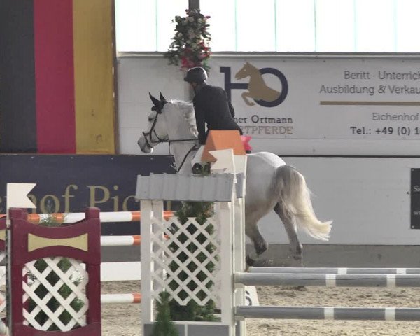 Reitturnier Karlsfeld/Obb. 2020