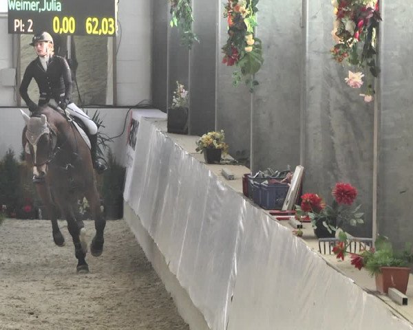 Reitturnier Karlsfeld/Obb. 2020