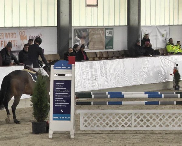 Reitturnier Karlsfeld/Obb. 2020