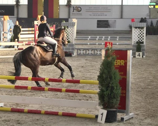Reitturnier Karlsfeld/Obb. 2020