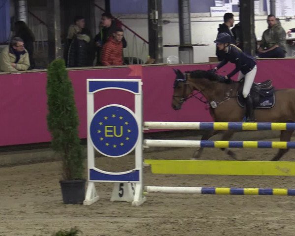 Reitturnier Vlotho-Exter 2020