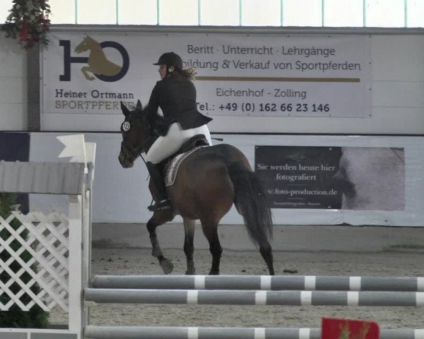 Reitturnier Karlsfeld/Obb. 2020