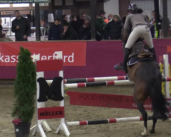 Reitturnier Vlotho-Exter 2020