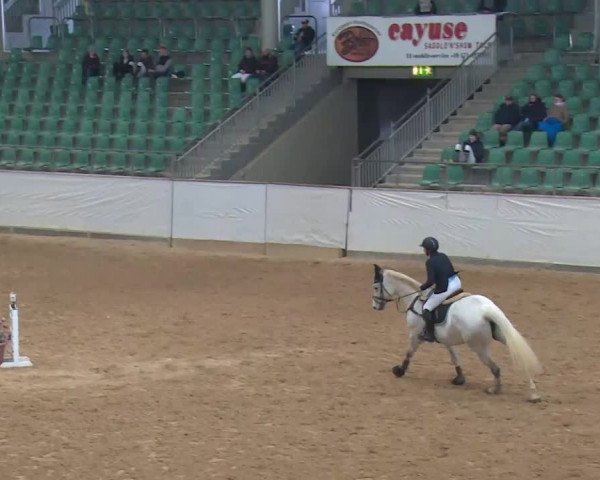 Reitturnier Kreuth/Opf. 2020