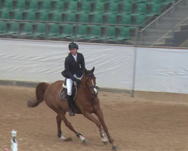 Reitturnier Kreuth/Opf. 2020