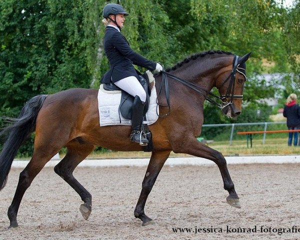 dressage horse Espada 10 (Arab half breed / Partbred, 1998, from Emetyt AA)
