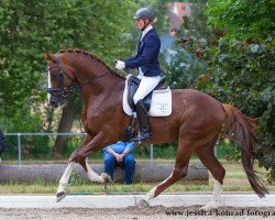 dressage horse Don Diamonts son (Bavarian, 2008, from Don Diamond)