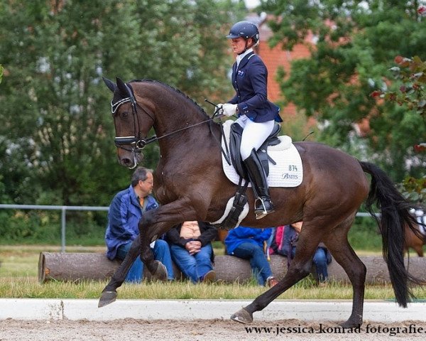 broodmare Rebana W (Hanoverian, 2008, from Rosario 37)