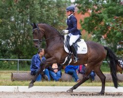 broodmare Rebana W (Hanoverian, 2008, from Rosario 37)