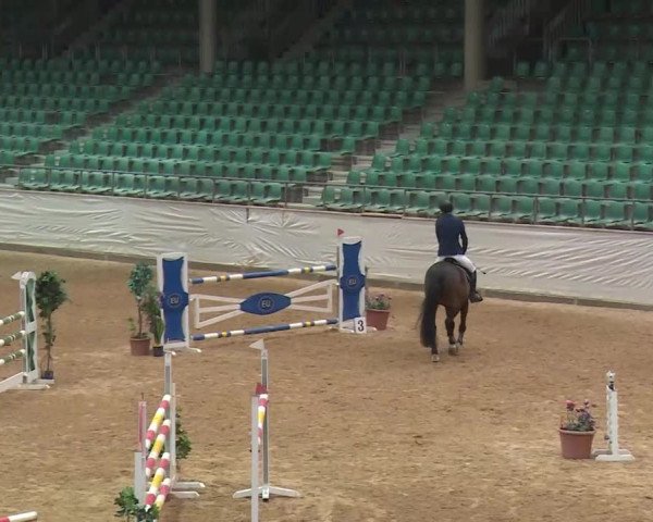 Reitturnier Kreuth/Opf. 2020