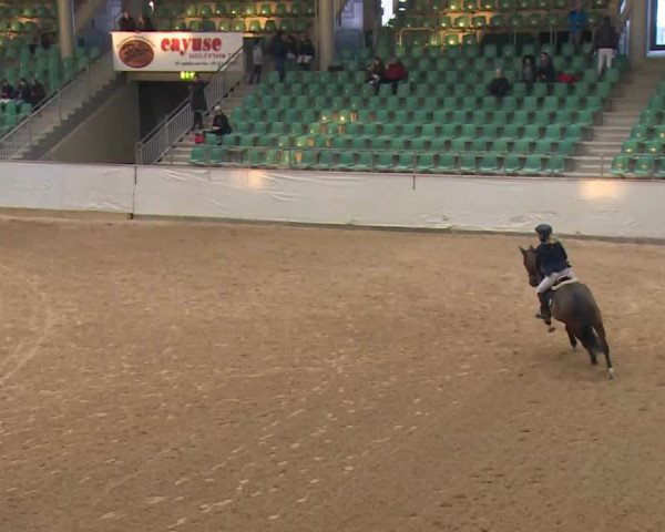 Reitturnier Kreuth/Opf. 2020